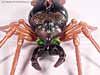 Beast Wars Blackarachnia - Image #14 of 79