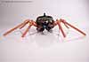 Beast Wars Blackarachnia - Image #15 of 79