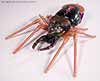 Beast Wars Blackarachnia - Image #24 of 79