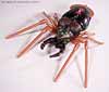 Beast Wars Blackarachnia - Image #25 of 79