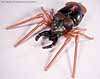 Beast Wars Blackarachnia - Image #26 of 79