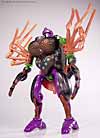 Beast Wars Blackarachnia - Image #42 of 79