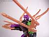 Beast Wars Blackarachnia - Image #50 of 79