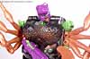 Beast Wars Blackarachnia - Image #60 of 79