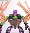 Beast Wars Blackarachnia - Image #61 of 79