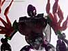 Beast Wars Blackarachnia - Image #71 of 79