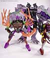 Beast Wars Blackarachnia - Image #72 of 79