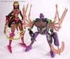 Beast Wars Blackarachnia - Image #73 of 79