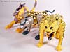 Beast Wars Cheetor - Image #14 of 91