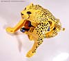 Beast Wars Cheetor - Image #22 of 91