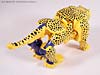 Beast Wars Cheetor - Image #25 of 91