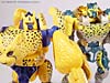 Beast Wars Cheetor - Image #89 of 91