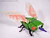 Beast Wars Cicadacon - Image #3 of 44