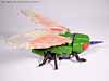 Beast Wars Cicadacon - Image #4 of 44