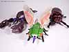 Beast Wars Cicadacon - Image #12 of 44