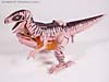 Beast Wars Dinobot - Image #19 of 121