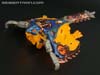 Beast Wars Nightglider - Image #19 of 105
