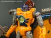 Beast Wars Nightglider - Image #90 of 105