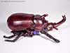 Beast Wars Ram Horn - Image #4 of 40