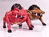 Beast Wars Razorbeast - Image #31 of 64