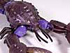 Beast Wars Sea Clamp - Image #5 of 43