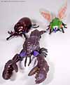 Beast Wars Sea Clamp - Image #16 of 43