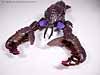 Beast Wars Sea Clamp - Image #18 of 43