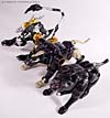 Beast Wars Shadow Panther - Image #24 of 96