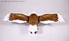Beast Wars Silverbolt - Image #10 of 52