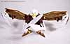 Beast Wars Silverbolt - Image #44 of 52