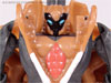Beast Wars Snarl - Image #29 of 54