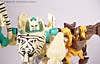 Beast Wars Tigatron - Image #72 of 78