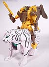 Beast Wars Tigatron - Image #106 of 107