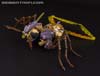 Beast Wars Transquito - Image #60 of 128