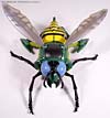 Beast Wars Waspinator - Image #15 of 132