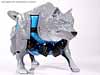 Beast Wars Wolfang - Image #7 of 74