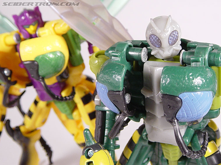Transformers Beast Wars Waspinator (Waspitor) (Image #99 of 132)