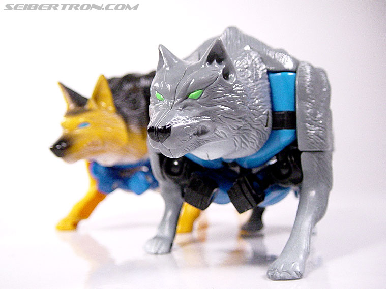 Transformers Beast Wars Wolfang (Howlinger) (Image #1 of 74)