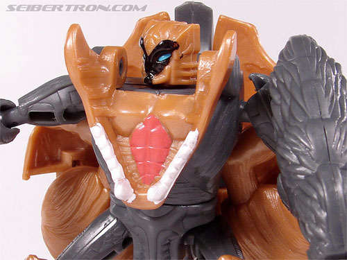 Transformers Beast Wars II Tasmanian Kid (Image #69 of 83)