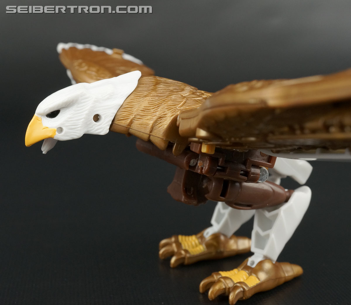 Transformers Beast Wars II Skywarp (Image #17 of 133)