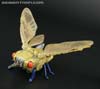 Beast Wars II DJ - Image #20 of 123