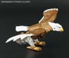 Beast Wars II Skywarp - Image #11 of 133