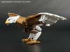 Beast Wars II Skywarp - Image #16 of 133
