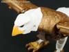 Beast Wars II Skywarp - Image #25 of 133