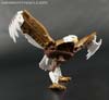 Beast Wars II Skywarp - Image #32 of 133