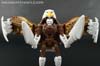 Beast Wars II Skywarp - Image #58 of 133