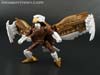 Beast Wars II Skywarp - Image #103 of 133