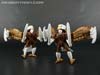 Beast Wars II Skywarp - Image #117 of 133