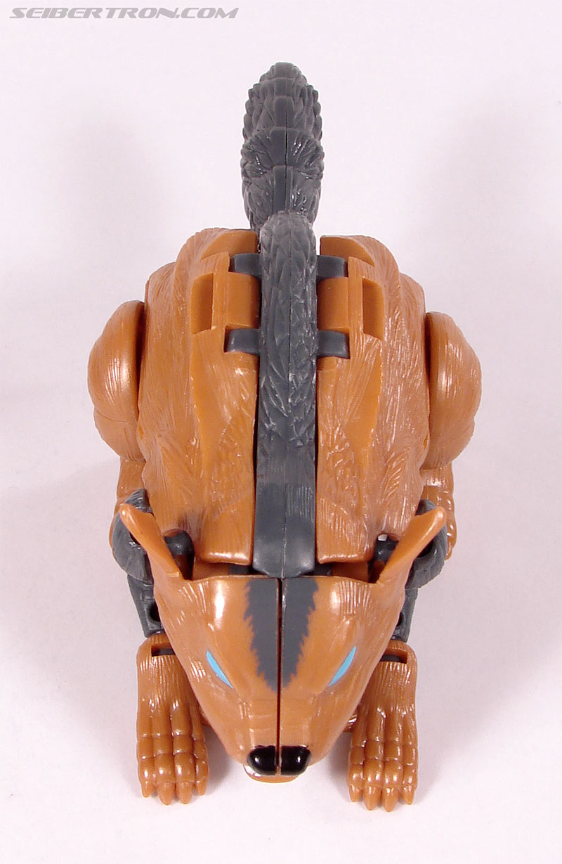 Transformers Beast Wars II Tasmanian Kid (Image #25 of 83)