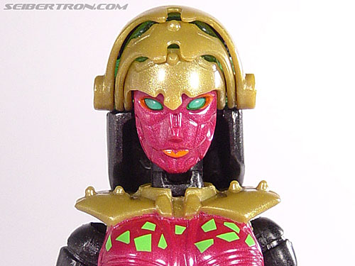 Blackarachnia (Black Widow)